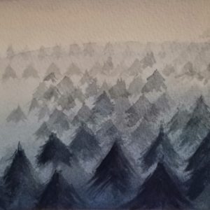 Forêt de pin