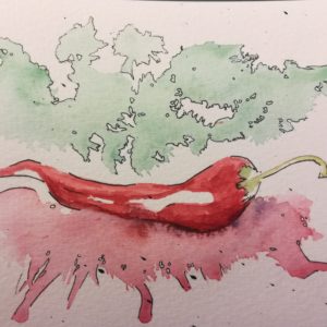 piment à l'aquarelle avec fond de tâches