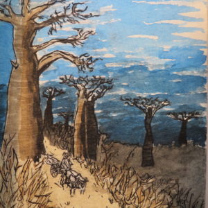Route des Baobabs