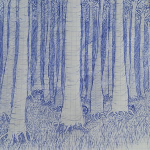 Forêt dense