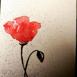 coquelicot