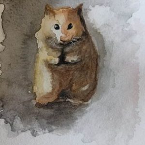 hamster