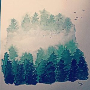 Forêt dans la brume